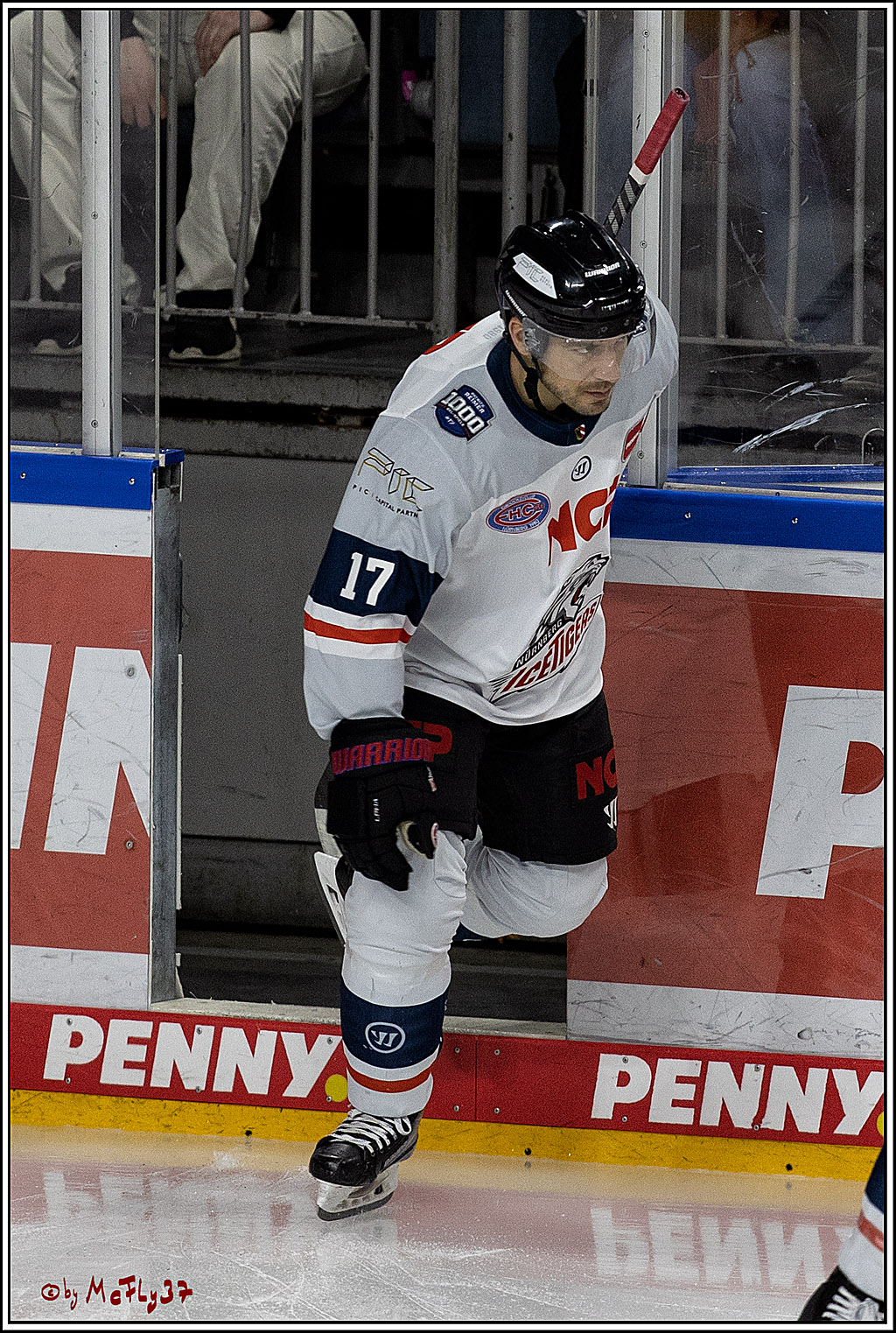 PENNY DEL;  Koelner Haie - Nuernberg Ice Tigers; Koeln, 03.12.2021